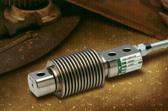 ����Celtron�Q�؂�����