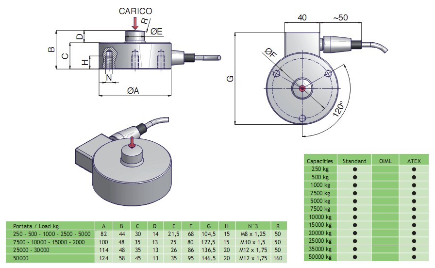 CM�Q�؂�����